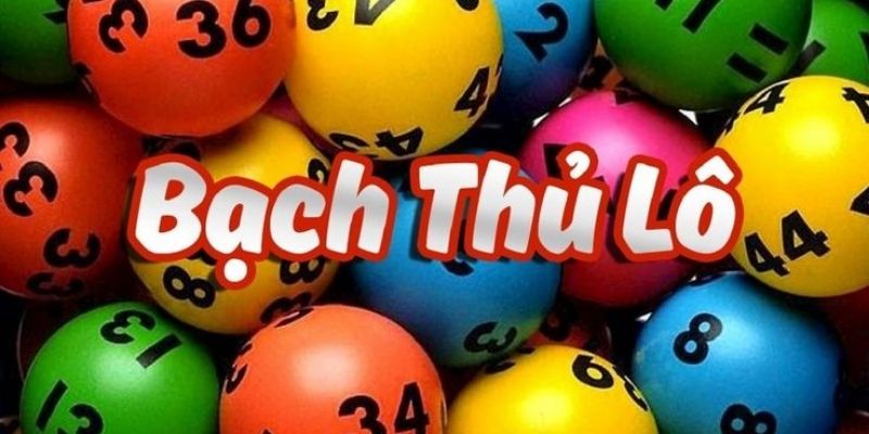 Bạch Thủ Lô Là Gì – Tìm Hiểu Về Phương Pháp Chơi Hiệu Quả