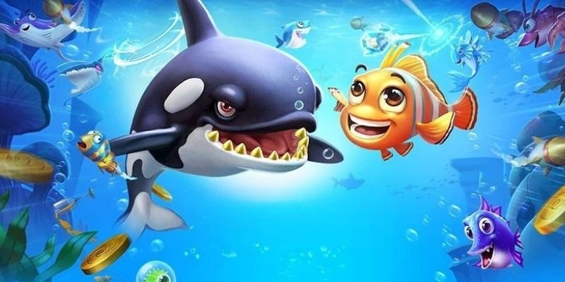 Bỏ túi lưu ý quan trọng khi tham gia săn ngư online