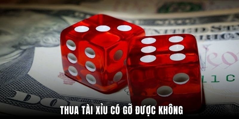 Thua Tài Xỉu Có Gỡ Được Không? Bí Kíp Hoàn Vốn Cực Chuẩn