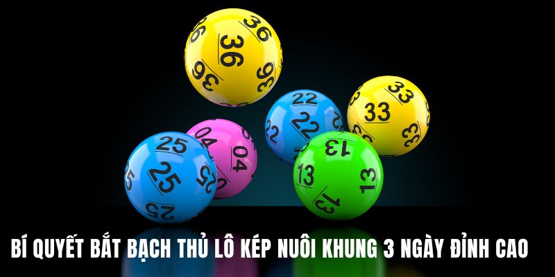 Bí Quyết Bắt Bạch Thủ Lô Kép Nuôi Khung 3 Ngày Đỉnh Cao