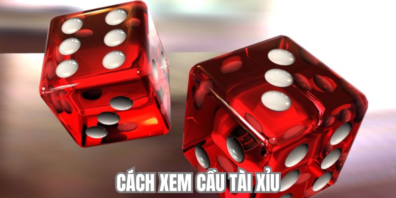 Tìm Hiểu Cách Xem Cầu Tài Xỉu Dễ Hiểu, Dễ Áp Dụng Nhất 2025